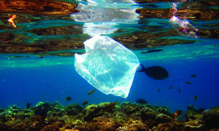 【炜林纳】触目惊心的海洋塑料 每秒2百公斤塑料倒海