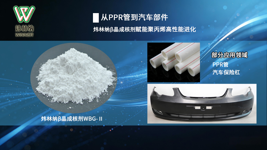 成核剂WBG2封面图(新改）